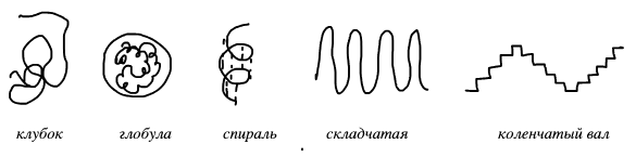 Конформации макромолекул: клубок, глобула, спираль, складчатая, коленчатый вал
