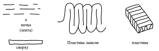 Стадии кристаллизации: пачка (лента) — вид сбоку и сверху, складчатая пластина ламели, пластинчатый кристалл