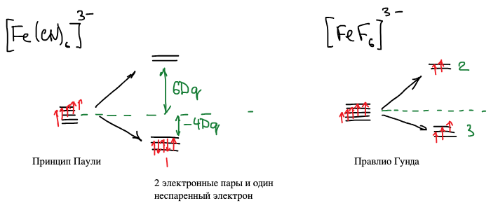 Заполнение d-уровней в [Fe(CN)₆]³⁻ (принцип Паули: 2 пары и один неспаренный электрон) и в [FeF₆]³⁻ (правило Гунда: 5 неспаренных)