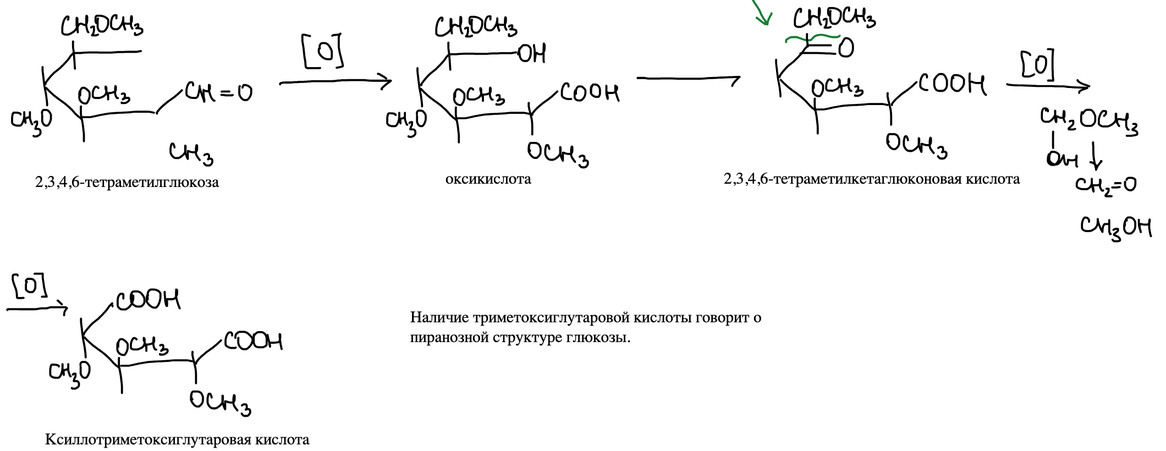 Окисление тетраметилглюкозы до триметоксиглутаровой кислоты