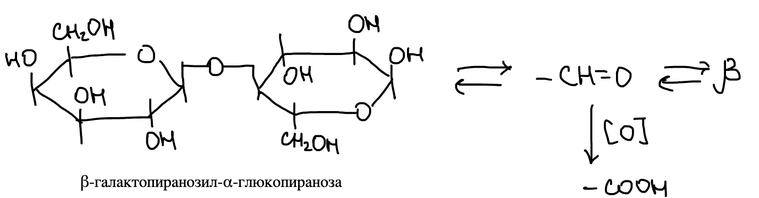 Лактоза и её окисление в лактобионовую кислоту