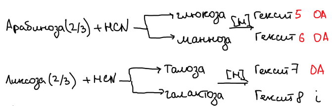 Арабиноза и ликсоза в синтезе Килиани — Фишера